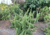IMG_0704 (1)